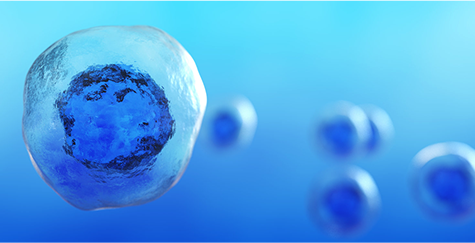 From Nature to Lab: The Critical Role of Non-Human Primates in Biomedical Research