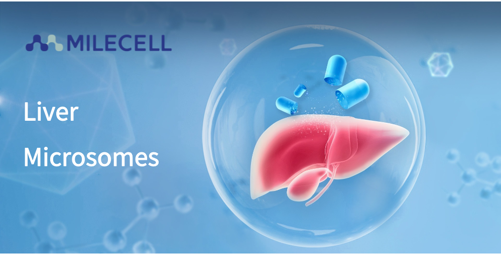 Drug Metabolism Studies Using Liver Microsomes