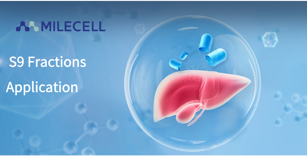 Applications of Liver Microsomes / S9 fractions 