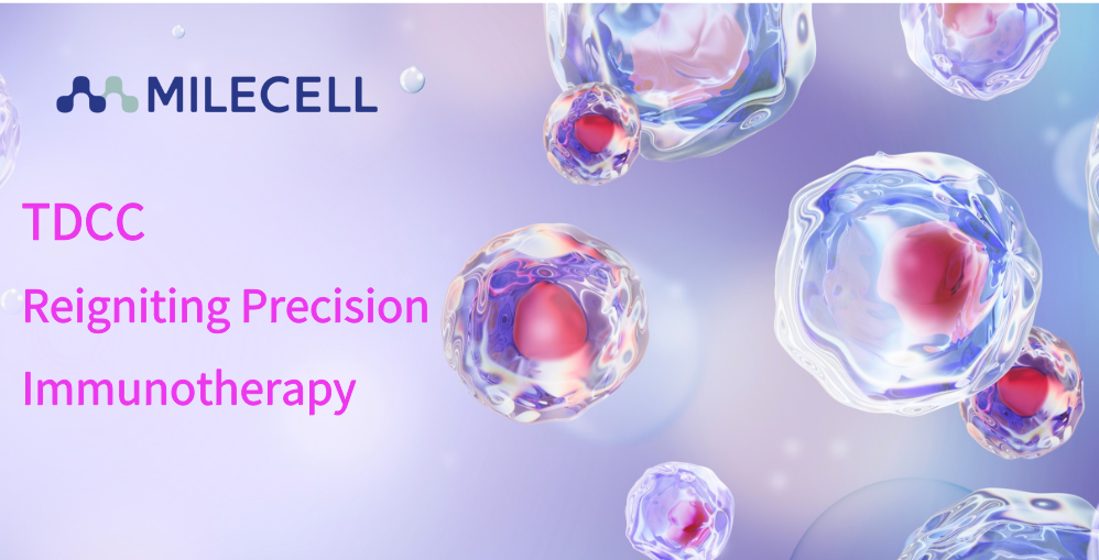 T-cell Dependent Cellular Cytotoxicity(TDCC): Reigniting Precision Immunotherapy