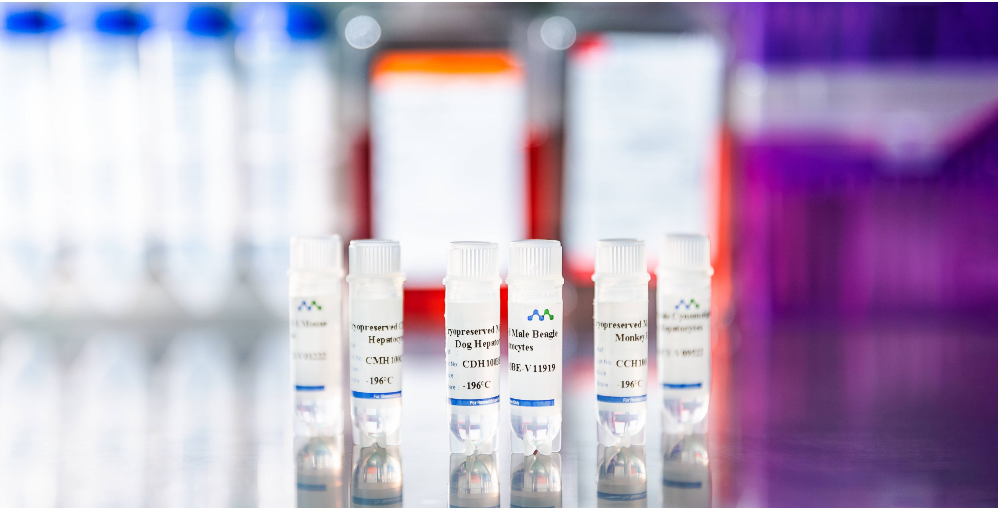 Achieve Reliable & Consistent Results with MileCell’s Cryosuspension Hepatocytes – Over 80% Post-Thaw Viability Guaranteed!