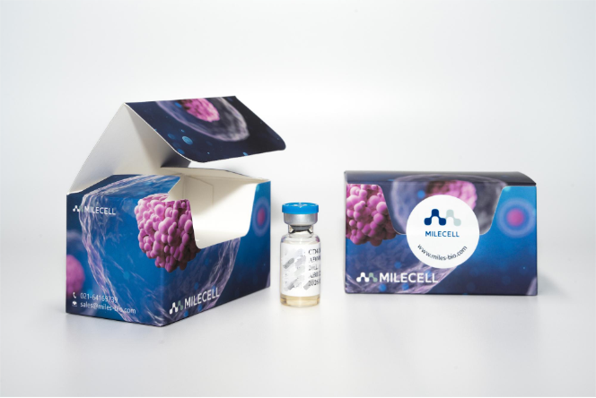 Precision CD4+ T Cell Isolation for Immunology Research