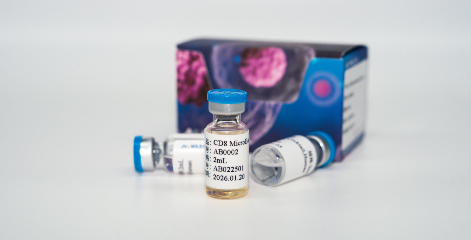 Precision CD8+ T Cell Isolation for Immunotherapy Research