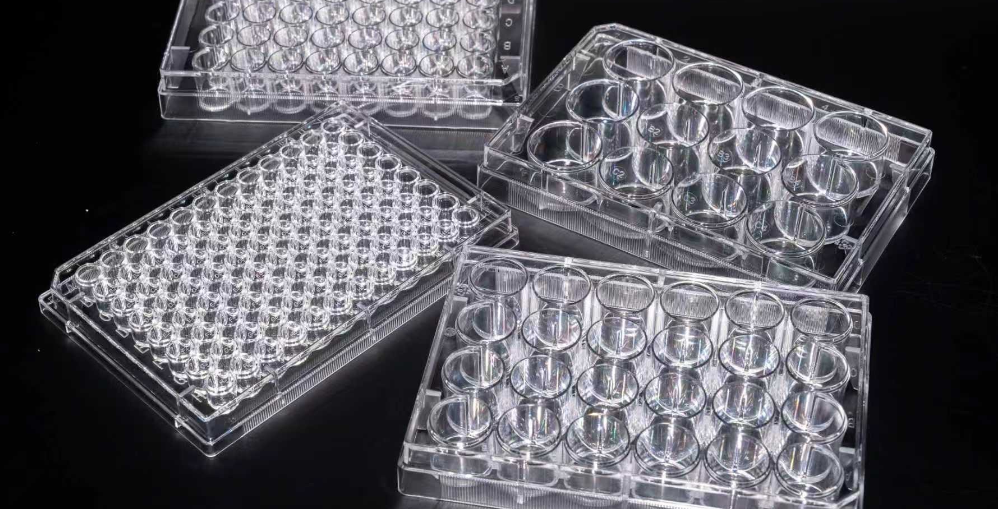 Collagen I Coated Plate