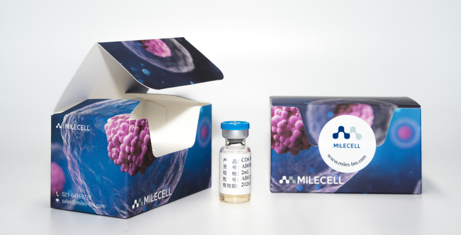 How to Isolate High-Quality CD4+ T Cells for Reliable Immunology Research