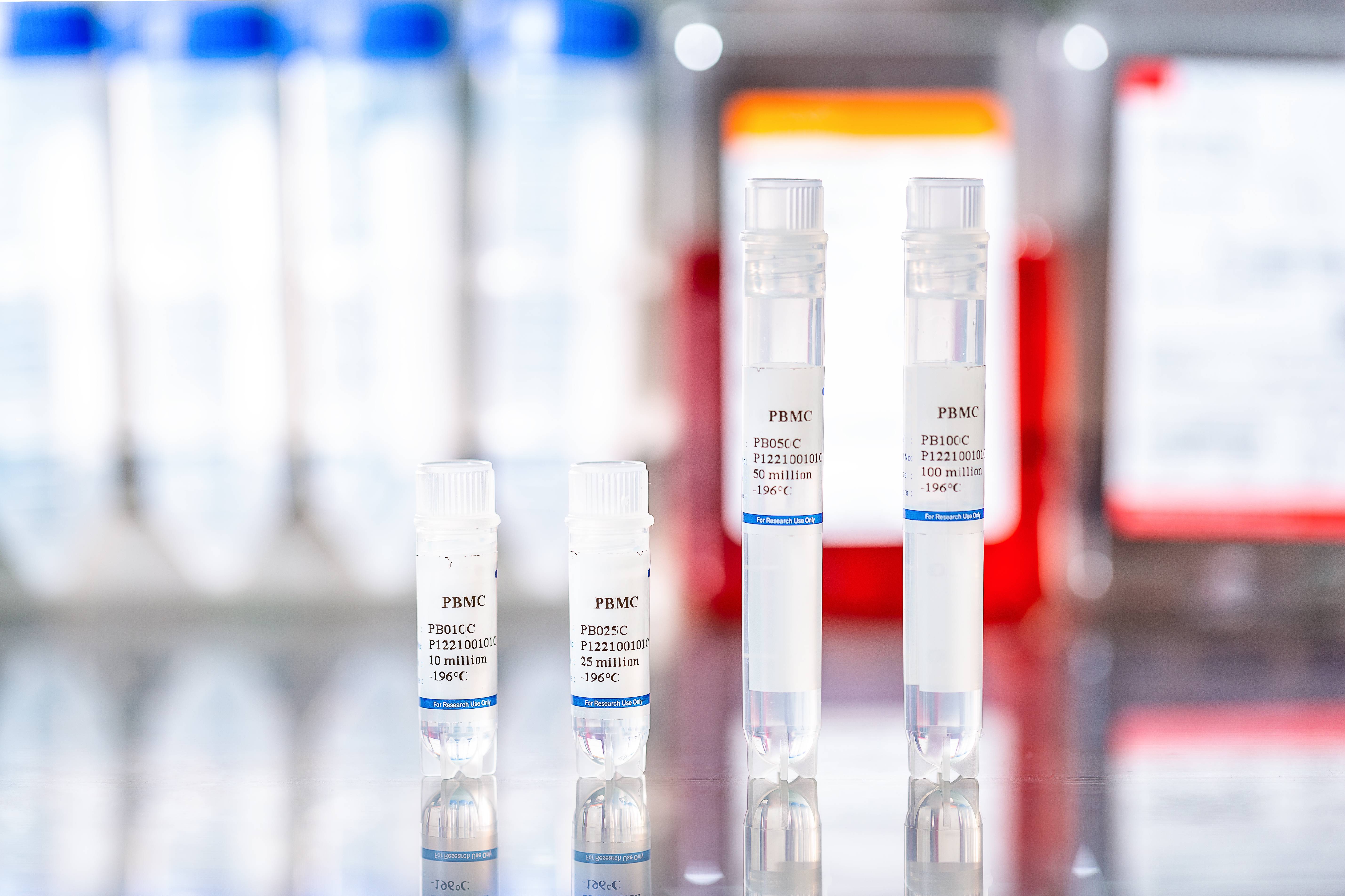 Exploring the Power of Mouse PBMC in Biomedical Research