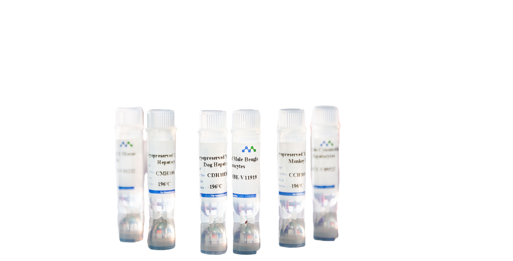 Liver Subcellular Fractions