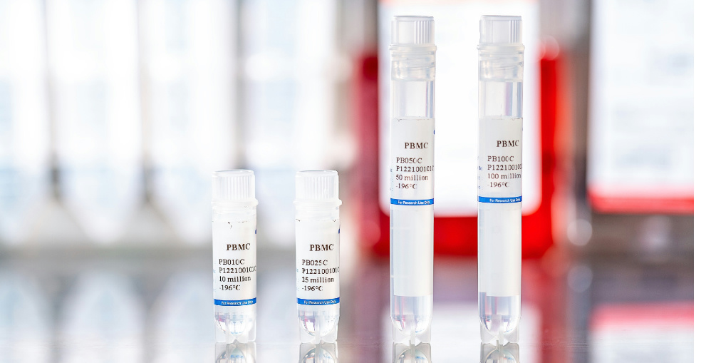 Cynomolgus Monkeys: Bridging the Gap Between Preclinical Immunity and Human Translation