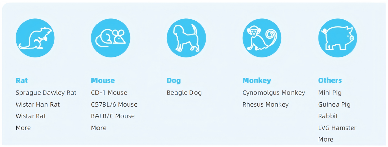 Primary Plateable Hepatocytes(图3) Primary Plateable Hepatocytes(图3)