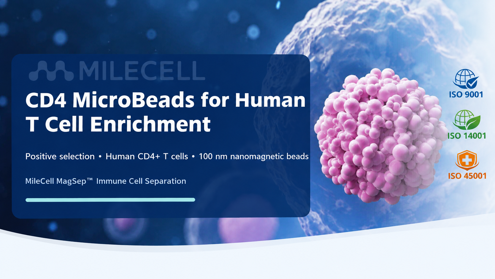 CD4 MicroBeads for Human T Cell Enrichment