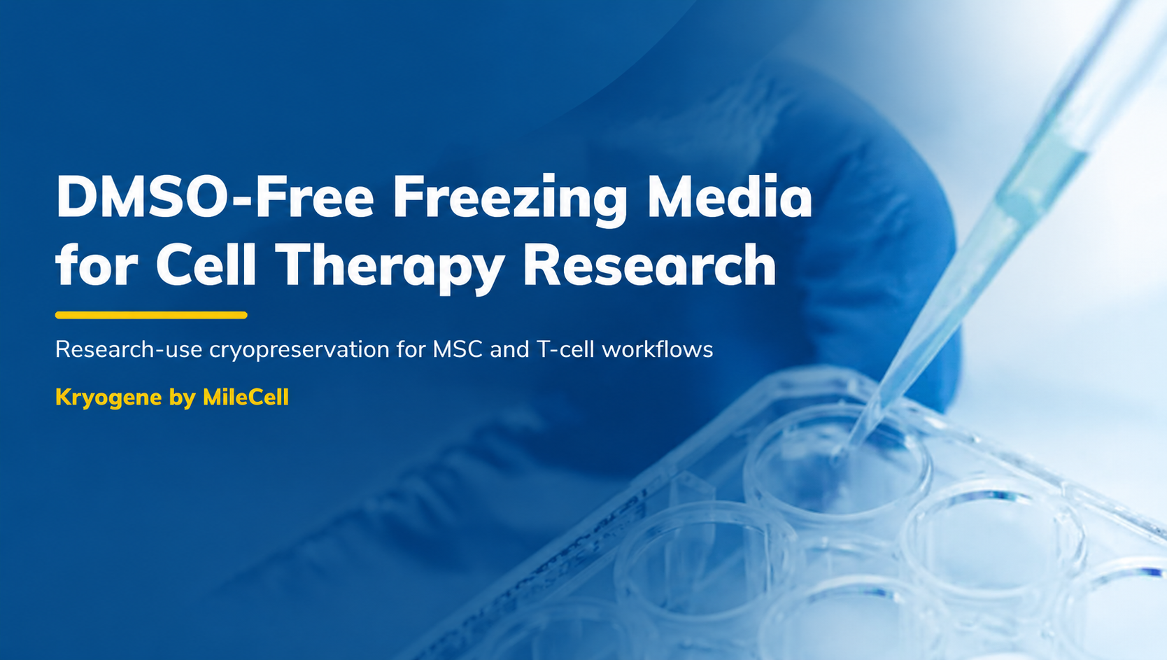 DMSO-Free Freezing Media for Cell Therapy Research