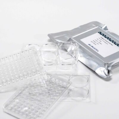 Collagen I Coated Plates