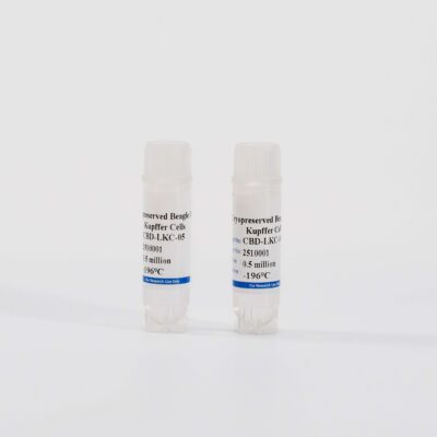 Dog Kupffer Cells
