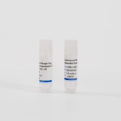 Dog Liver Sinusoidal Endothelial Cells