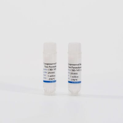 Dog Non-Parenchymal Cells Mix