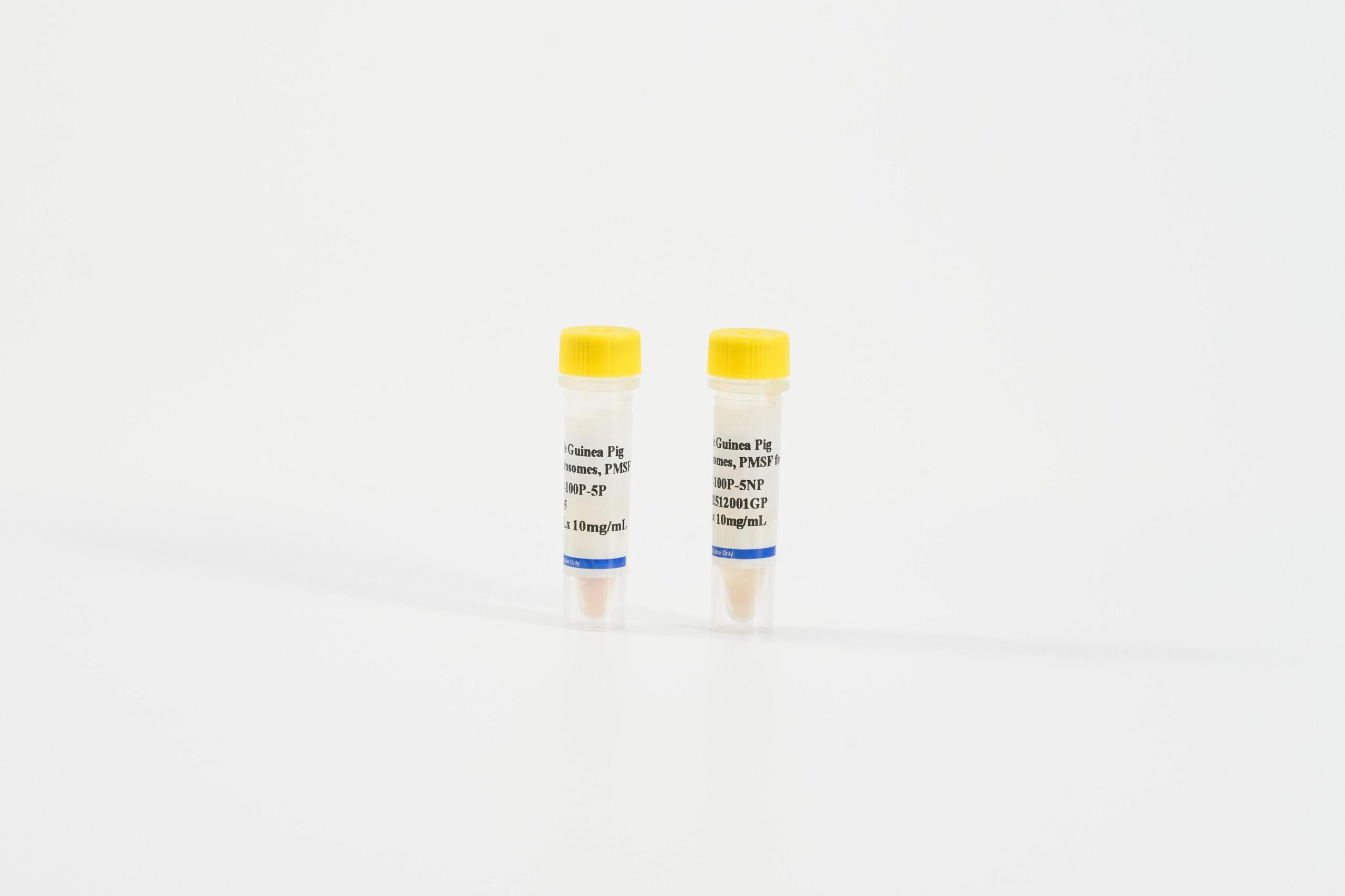 Guinea Pig Intestine Microsomes