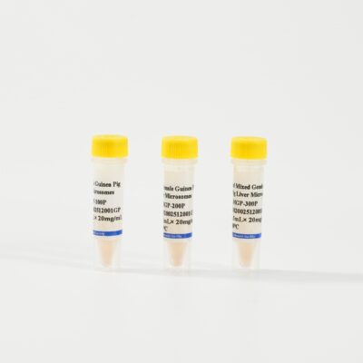 Guinea Pig Liver Microsomes