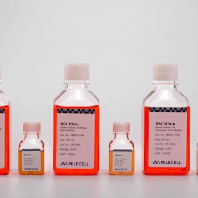 Hepatic Stellate Cell Culture Medium Kit
