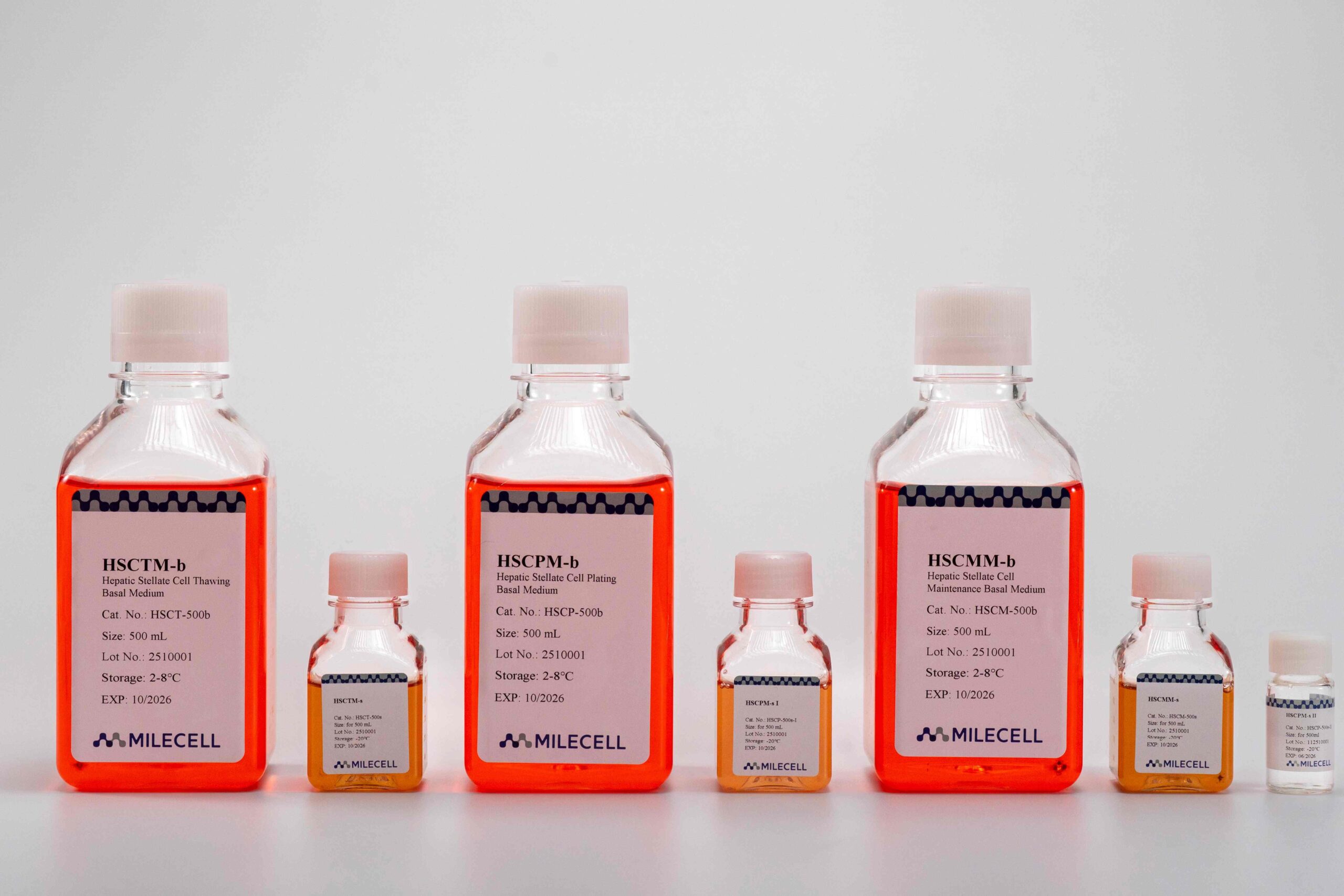 Hepatic Stellate Cell Culture Medium Kit