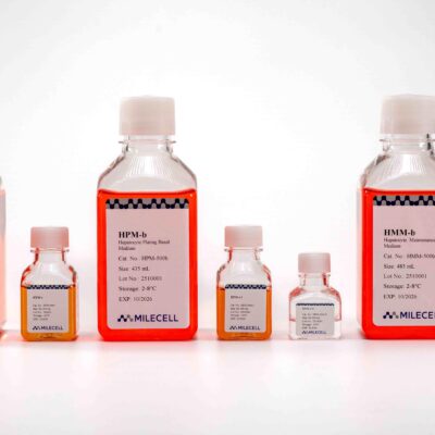 Hepatocyte Culture Medium Kit