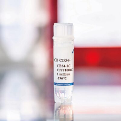 Human Cord Blood CD34+ Cells