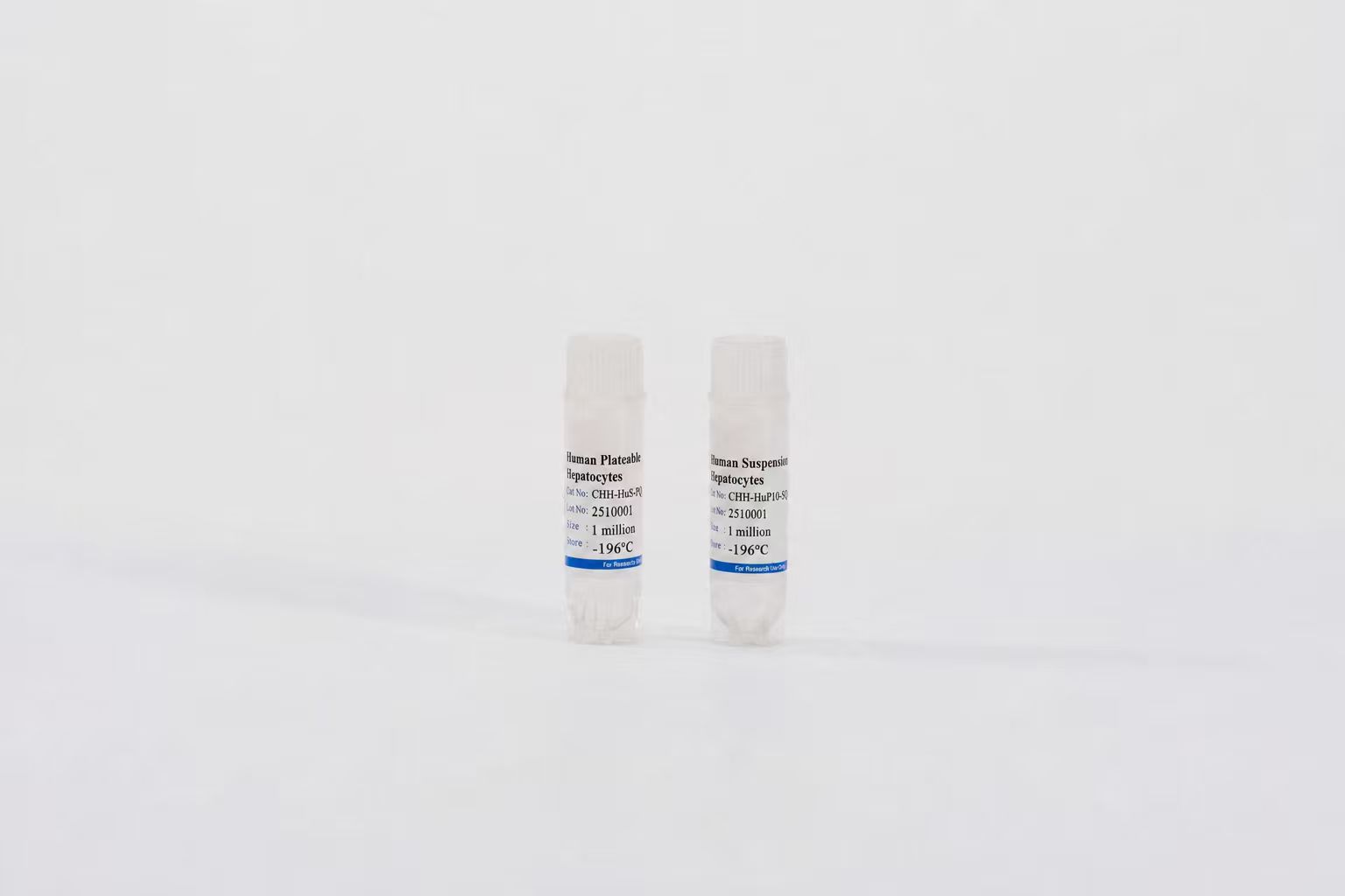 Human Suspension Hepatocytes