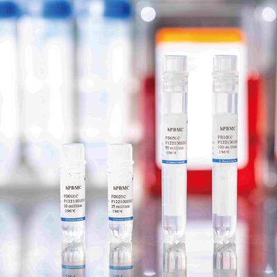 Human PBMCs