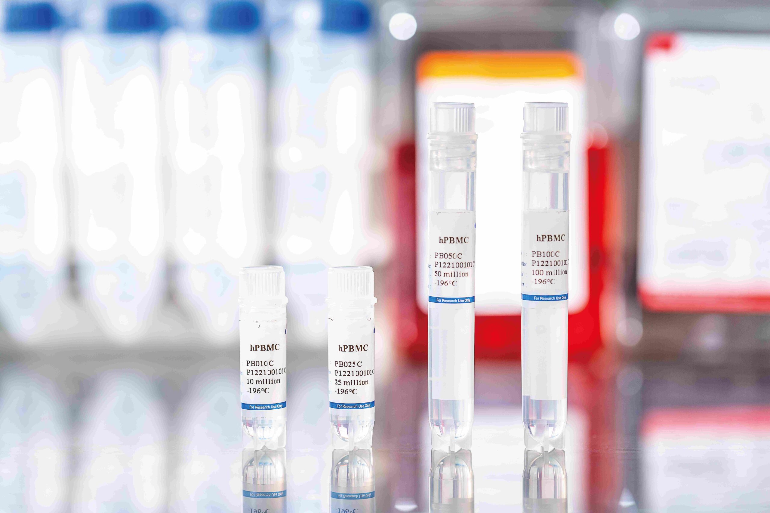 Human PBMCs