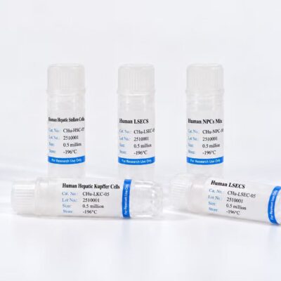 Human Non-Parenchymal Cells Mix