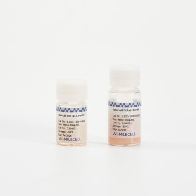 Induced SD Rat Liver S9