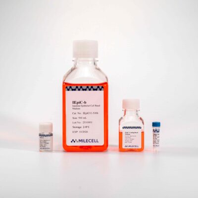 Intestine Epithelial Cell Medium Kit