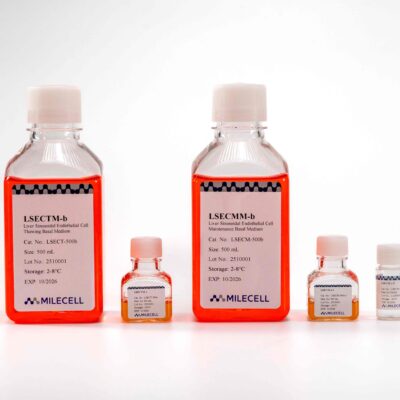 Liver Sinusoidal Endothelial Cell Culture Medium Kit