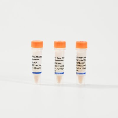 Minipig Liver Microsomes