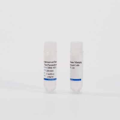 Minipig Non-Parenchymal Cells Mix