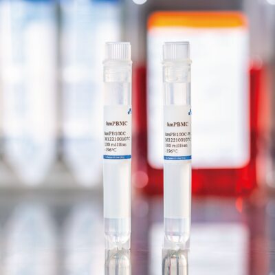 Human Mobilized PBMCs