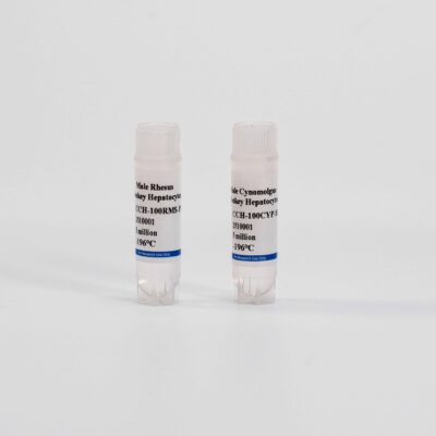 Monkey Suspension Hepatocytes