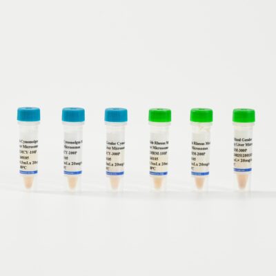 Monkey Liver Microsomes