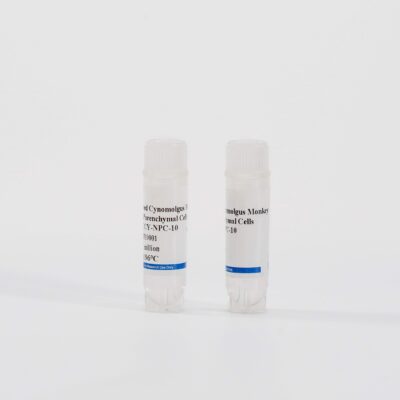 Monkey Non-Parenchymal Cells Mix