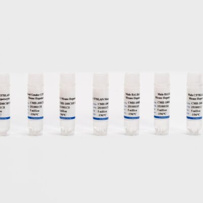 Mouse Plateable Hepatocytes