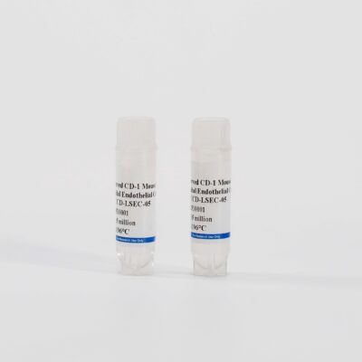 Mouse Liver Sinusoidal Endothelial Cells