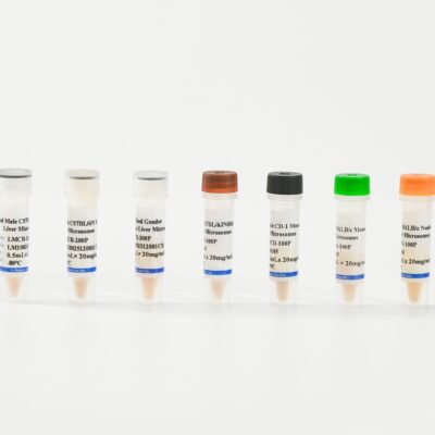 Mouse Liver Microsomes