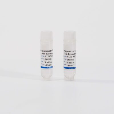 Mouse Non-Parenchymal Cells Mix