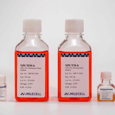Non-Parenchymal Cell Culture Medium Kit