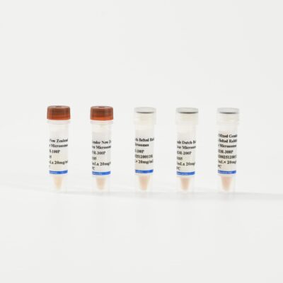 Rabbit Liver Microsomes