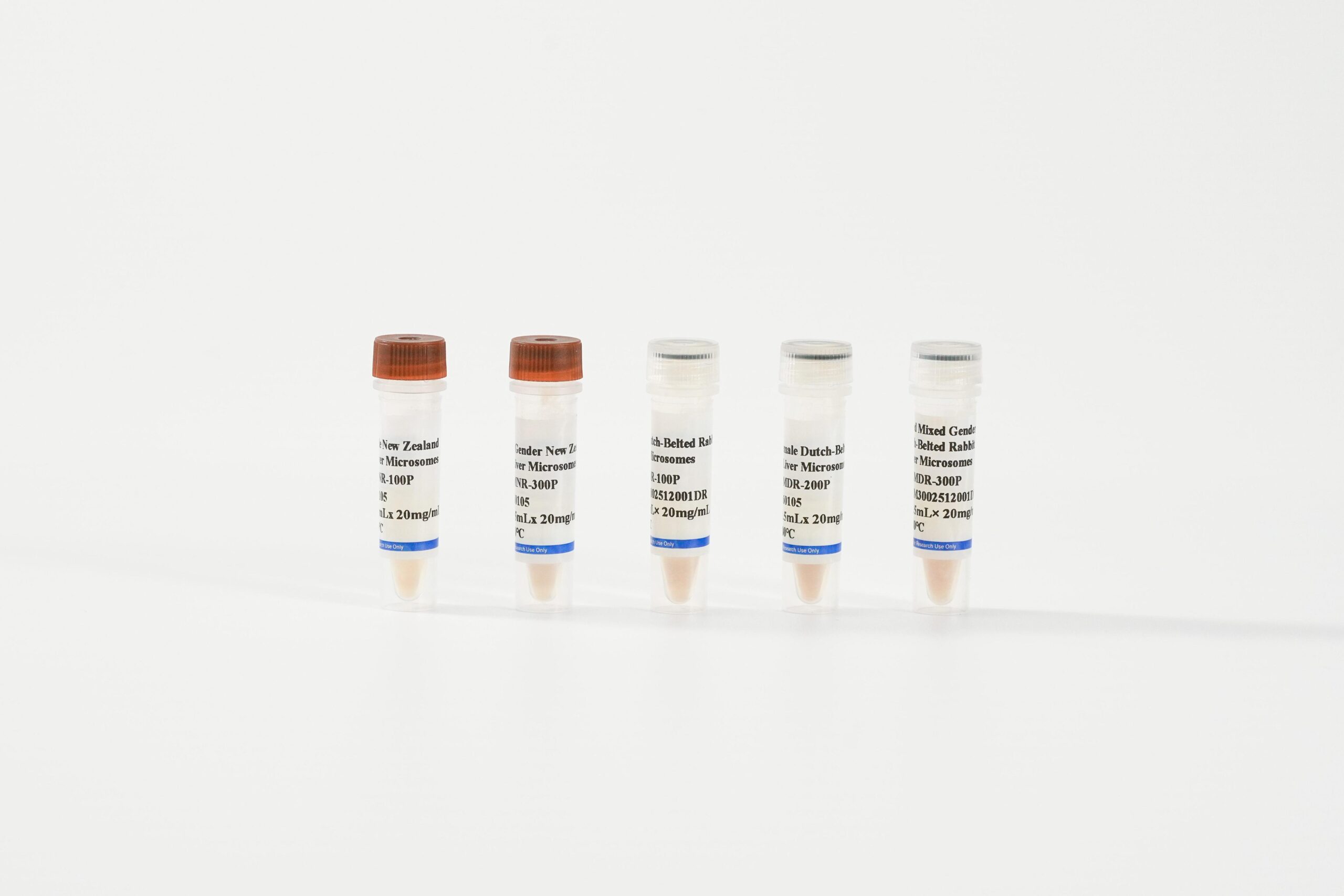 Rabbit Liver Microsomes