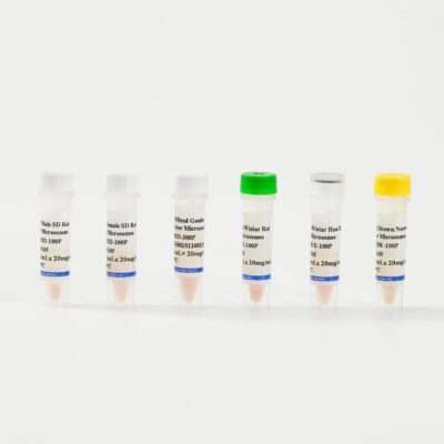 Rat Liver Microsomes