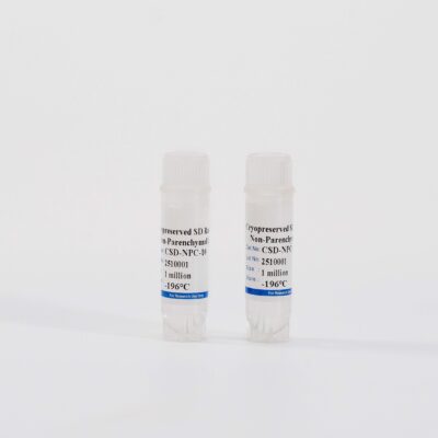 Rat Non-Parenchymal Cells Mix
