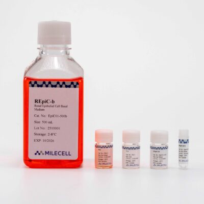 Renal Epithelial Cell Medium Kit