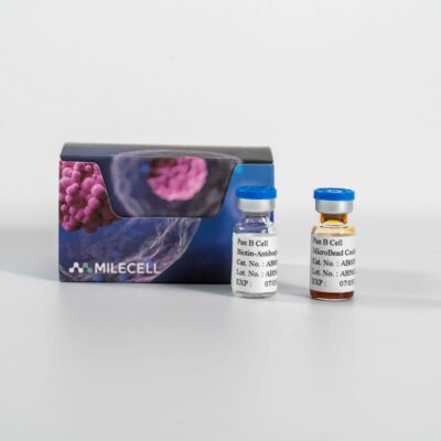 B Cell Separation MicroBeads