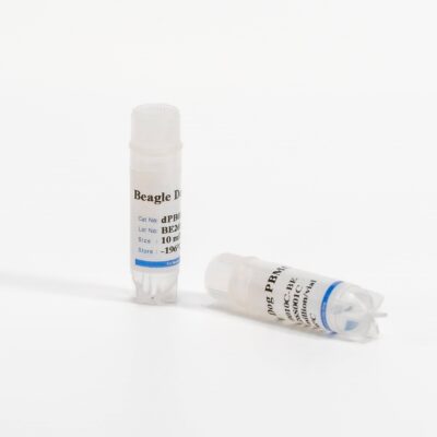 Canine PBMCs